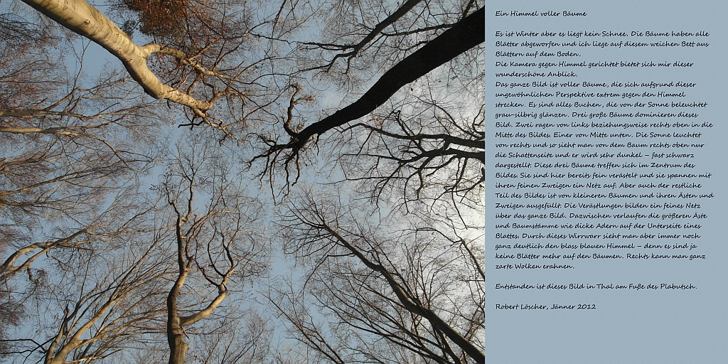 Ein Himmel voller B&auml;me - Bitte auf das Bild klicken f&uuml;r mehr Info und akustischer Beschreibung